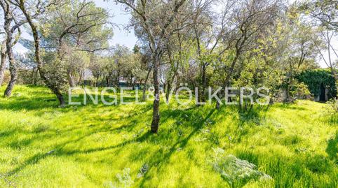 Foto 5 de Residencial en venda a Los Ángeles - Jarandilla, Torrelodones