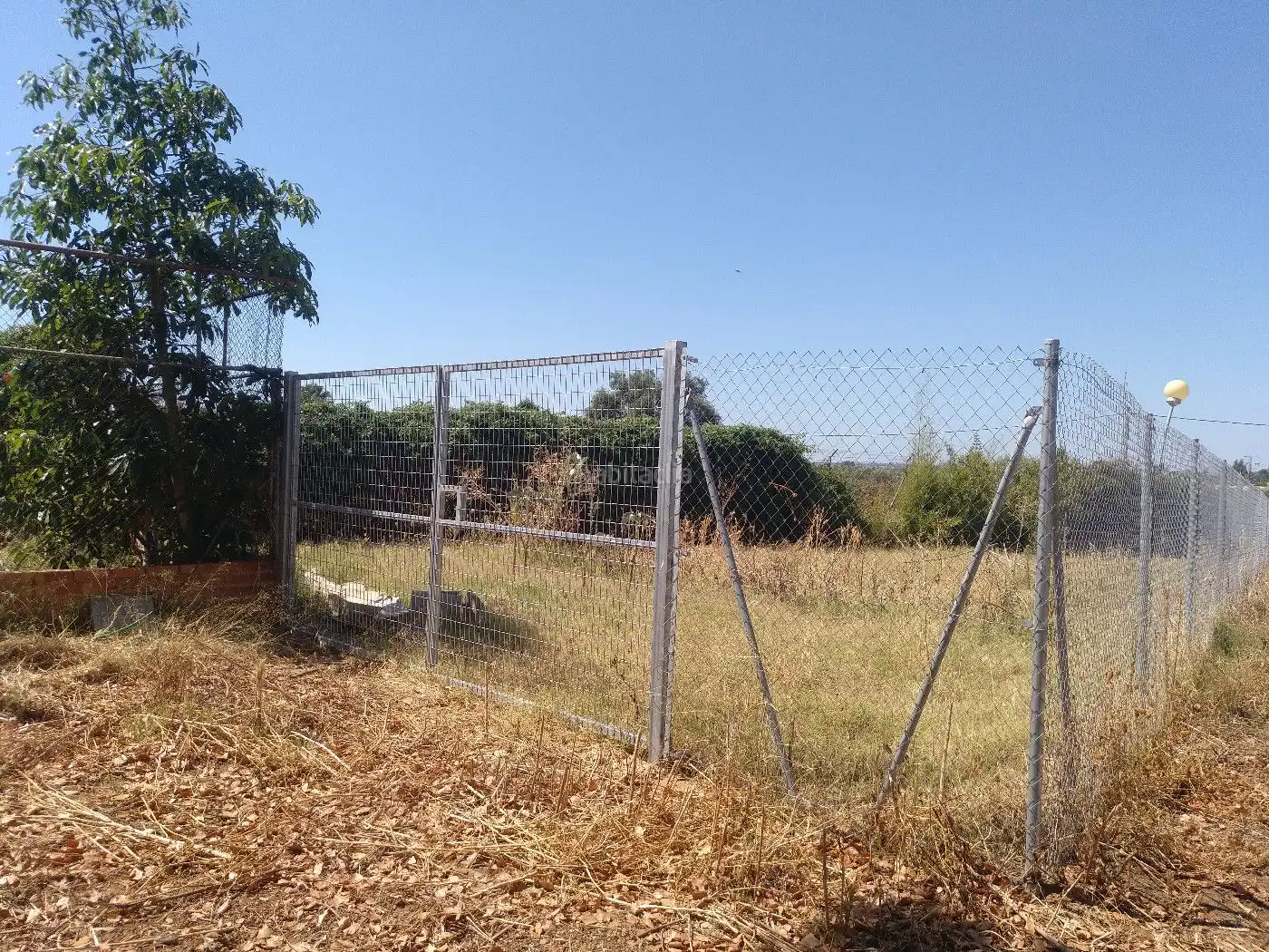 Terrenos y solares en venta en Finca la Calvilla 8, imagen 4