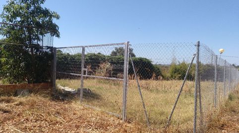Finca ecológica 5 ha con vivienda reformada, imatge 4