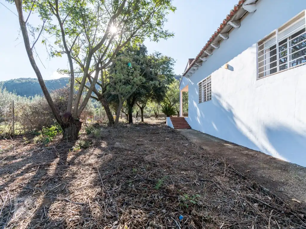 Vista exterior de Casa o chalet en venta en Vilallonga / Villalonga
