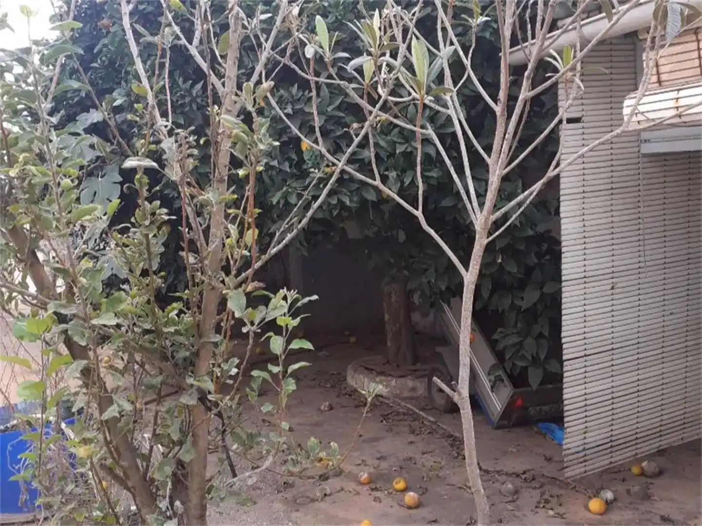Jardín de Planta baja en venta en La Línea de la Concepción