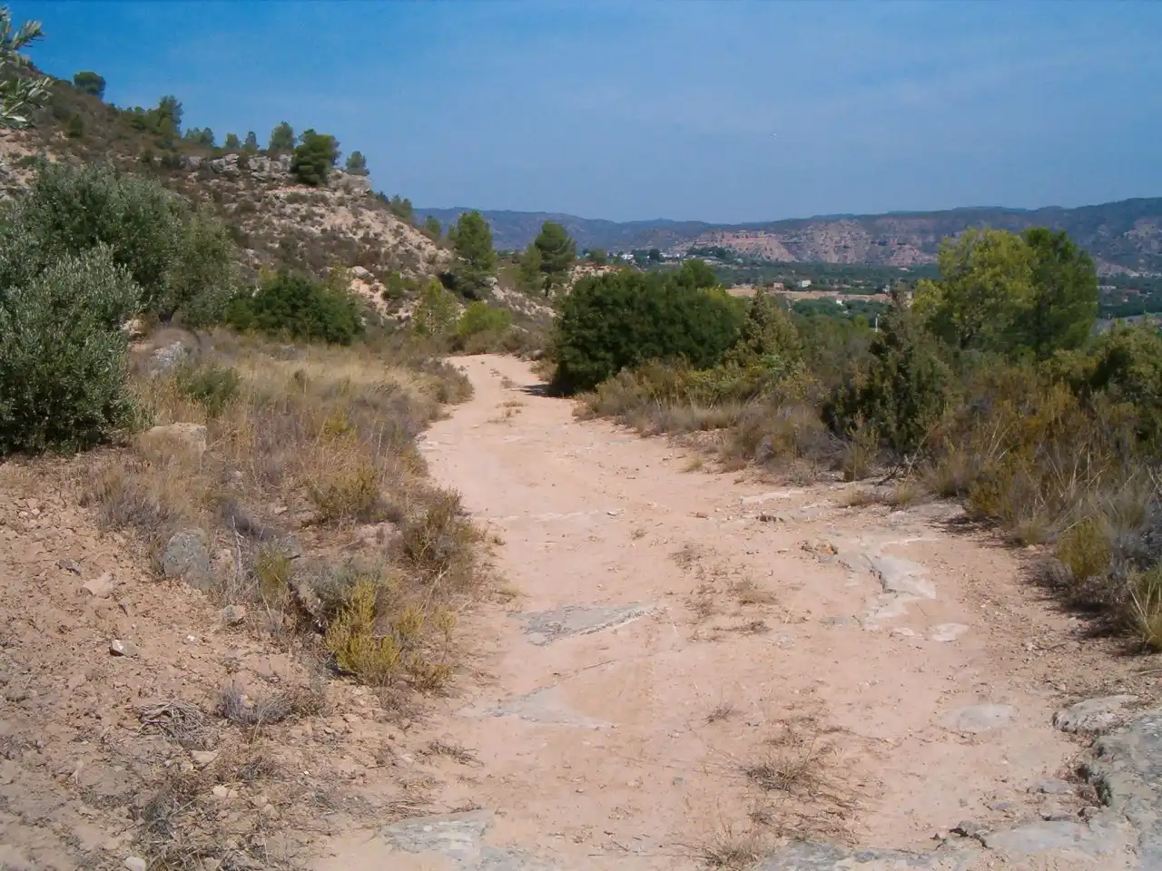 Terrain rustique à vendre à Riba-roja d'Ebre, imagen 2