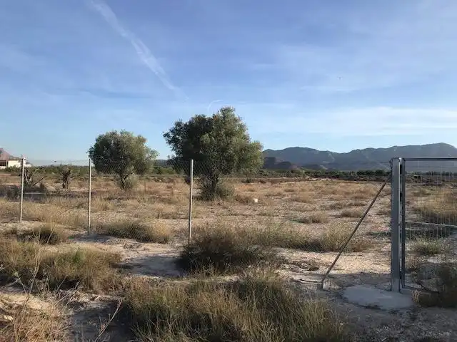 Terreno rústico en venta en Montepinar - La Aparecida - Raiguero, imagen 7