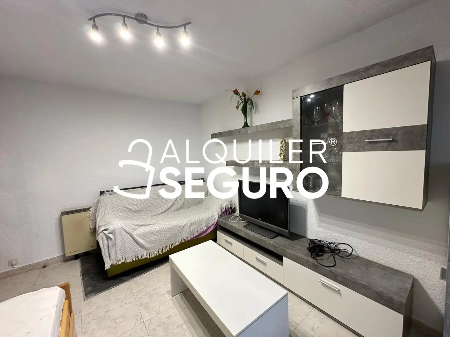 Sala d'estar de Pis de lloguer en Madrid amb Aire condicionat, Calefacció i Moblat