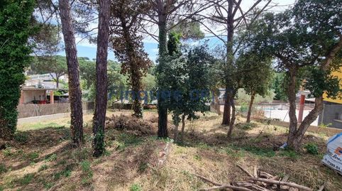 Parcela Llana en Venta en King Park  Sils, immagine 3