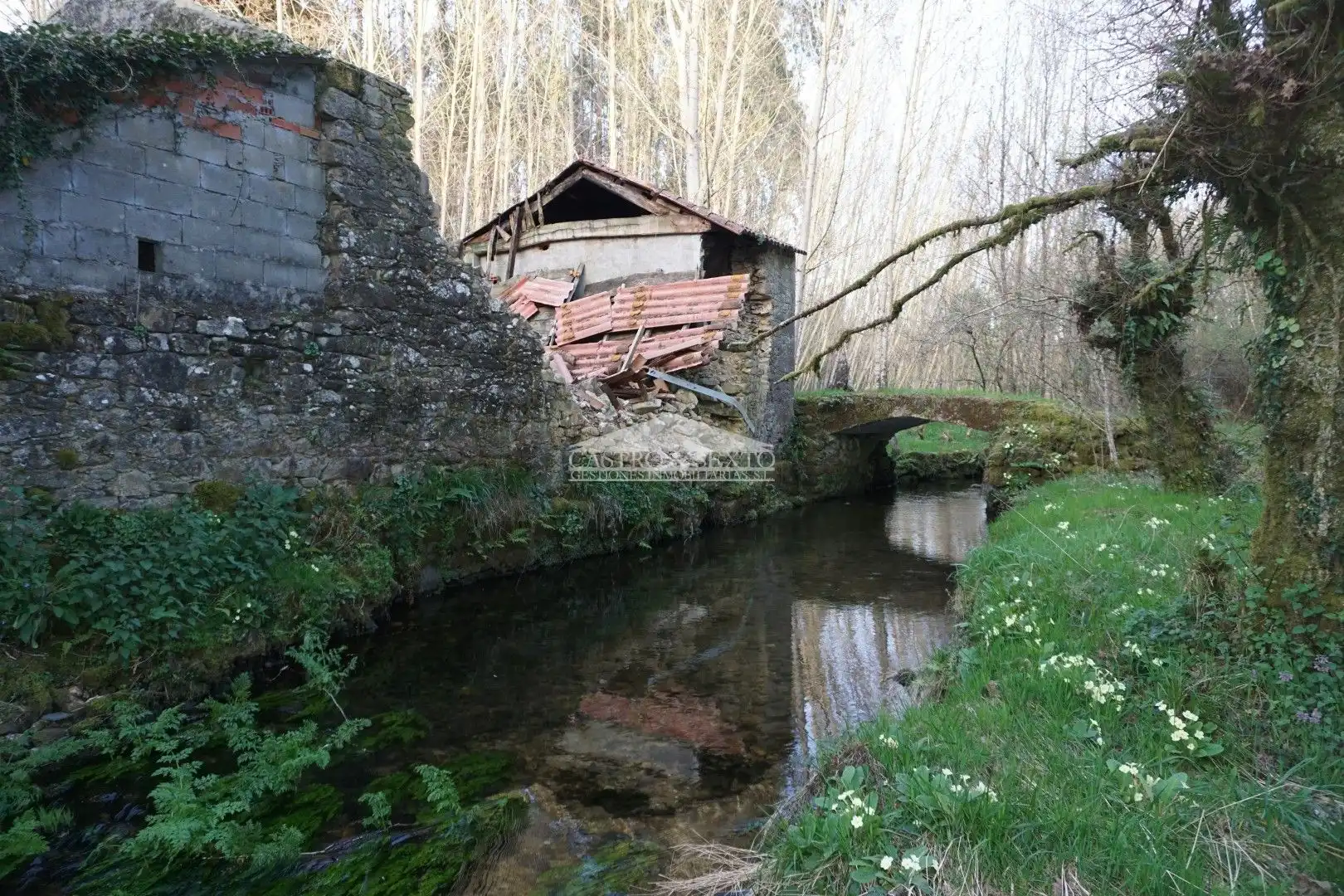 Casa rustica in vendita a Palas de Rei, imagen 4