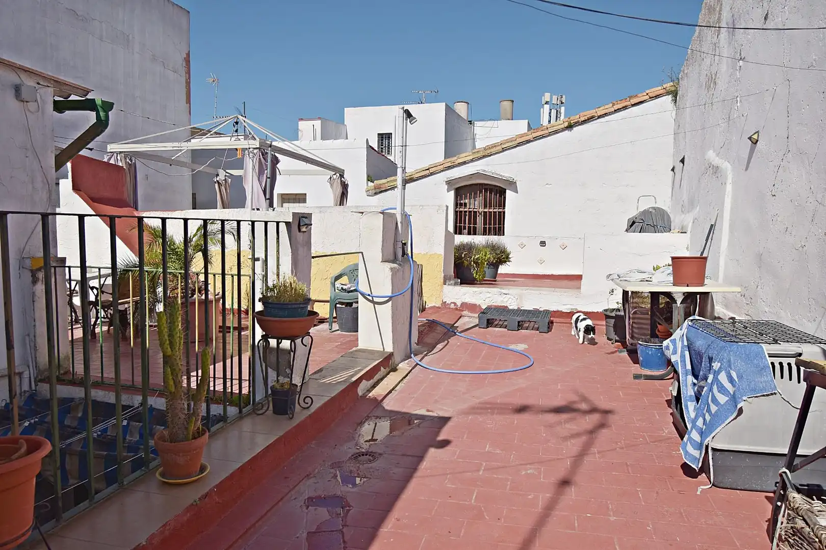 Exterior view of Houses for sale in Jerez de la Frontera