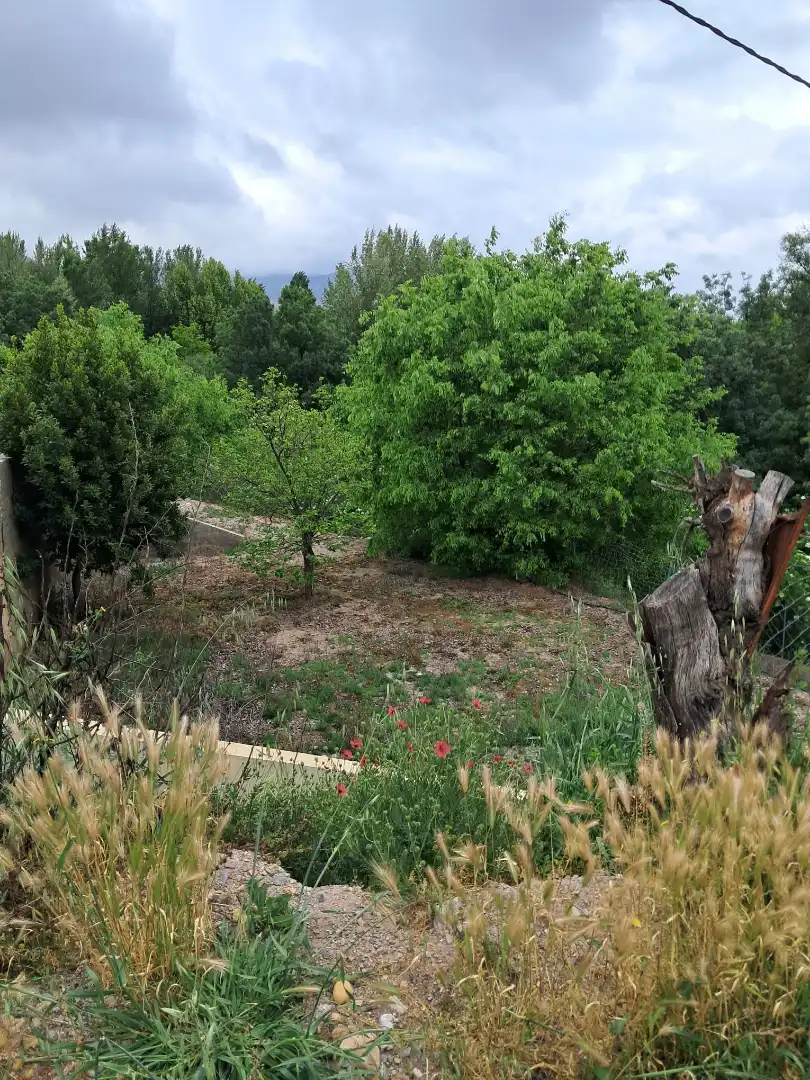 Casa o chalet en venta en Fondón con Jardín privado
