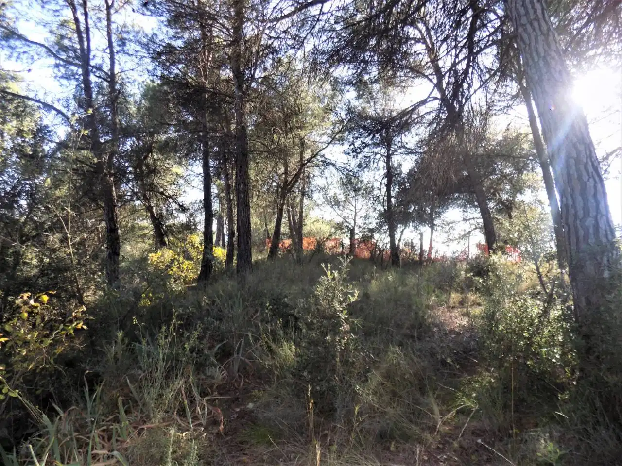 Residential for sale in Calle Tura d´Aran, Calders