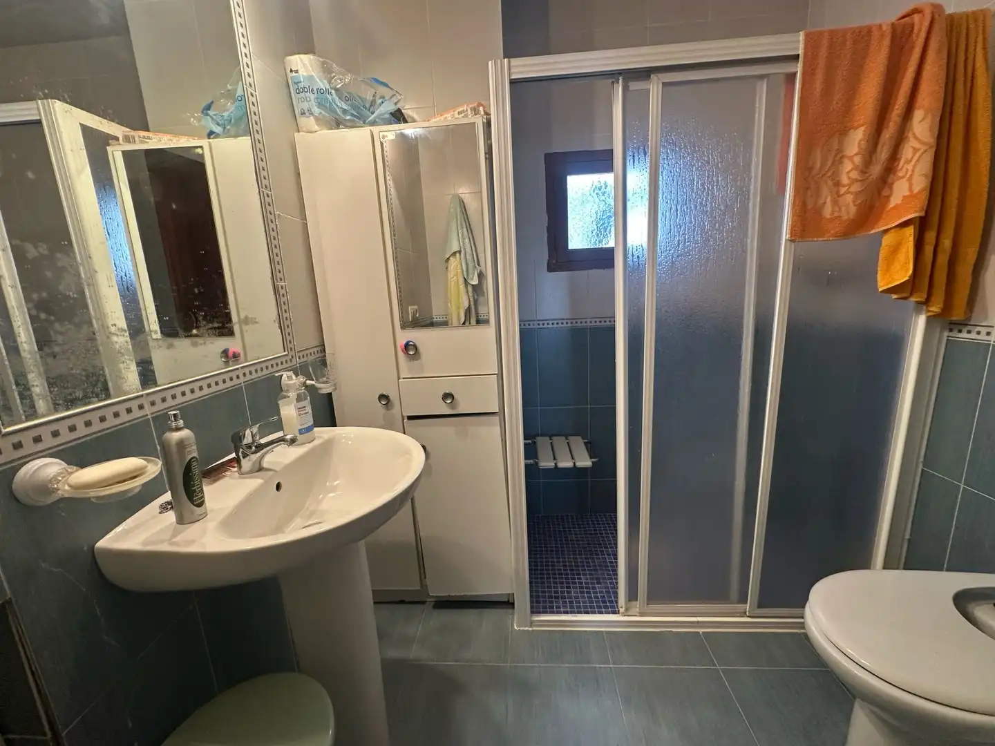 Bathroom of Detached homes for sale in Castro del Río  with Furnished