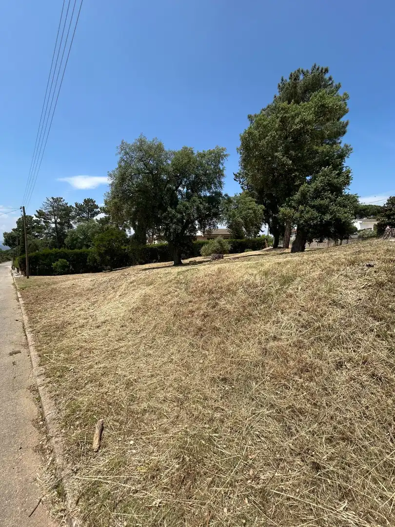 Residencial en venta en Santa Coloma de Farners