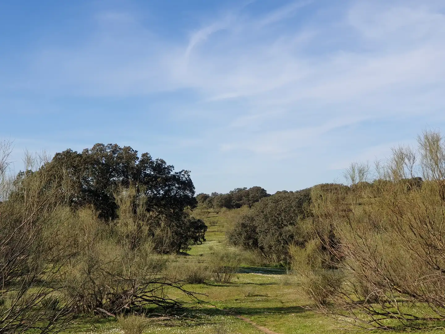 Terreni e lotti in vendita a La Haba, imagen 4
