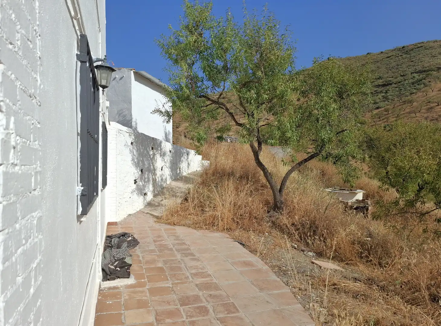 Vista exterior de Finca rústica en venta en Colmenar