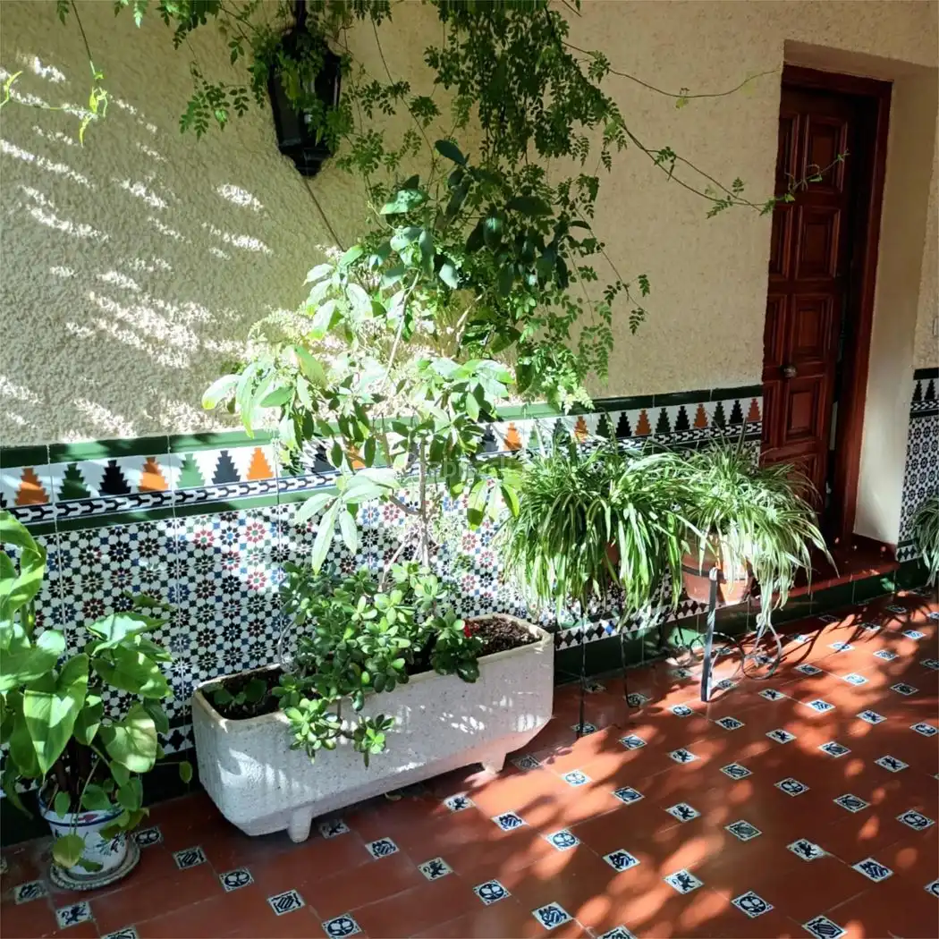 House with garden for sale in Calle Álamos 6, imagen 8