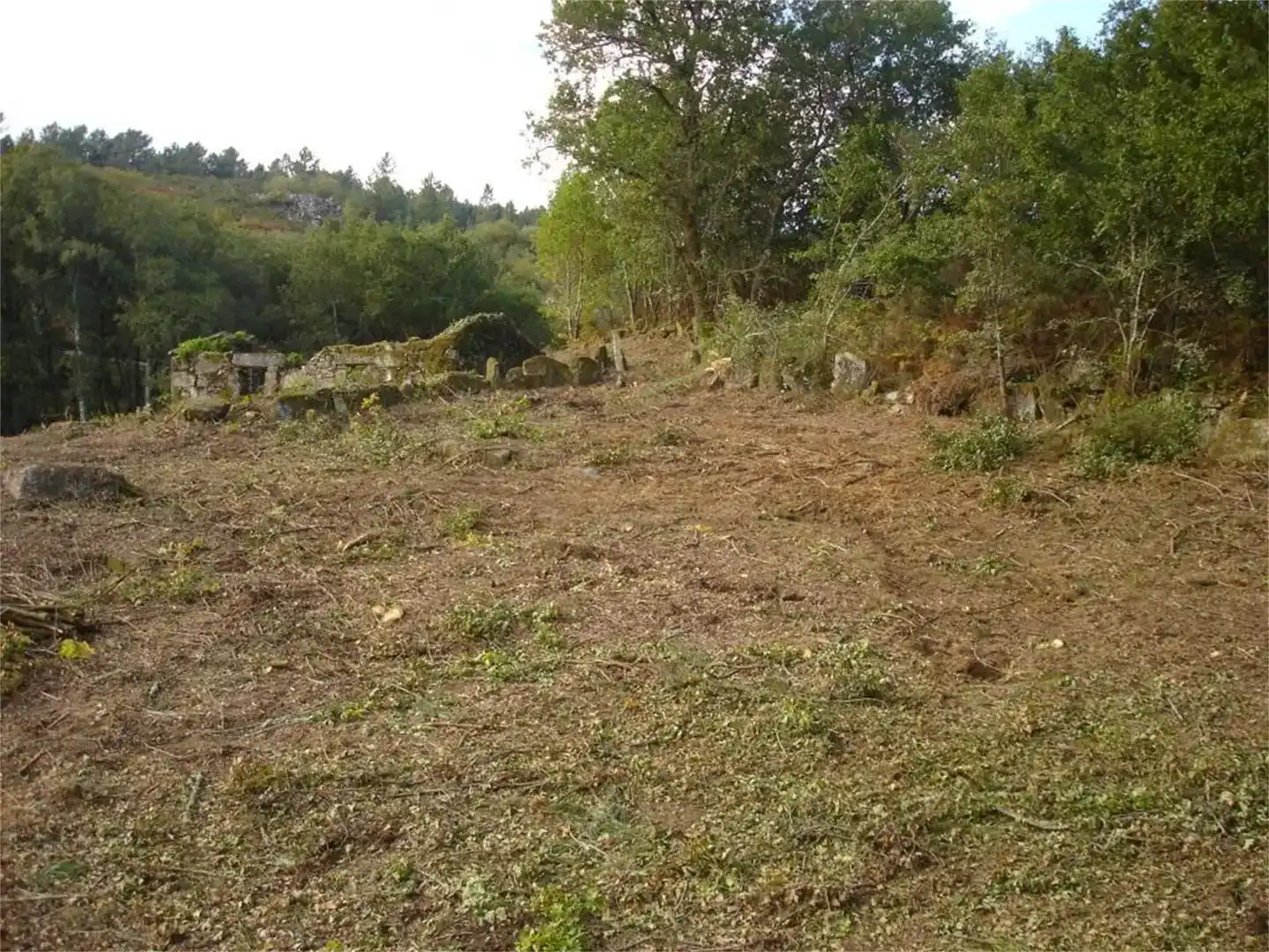 Finca rústica en venda en Boborás