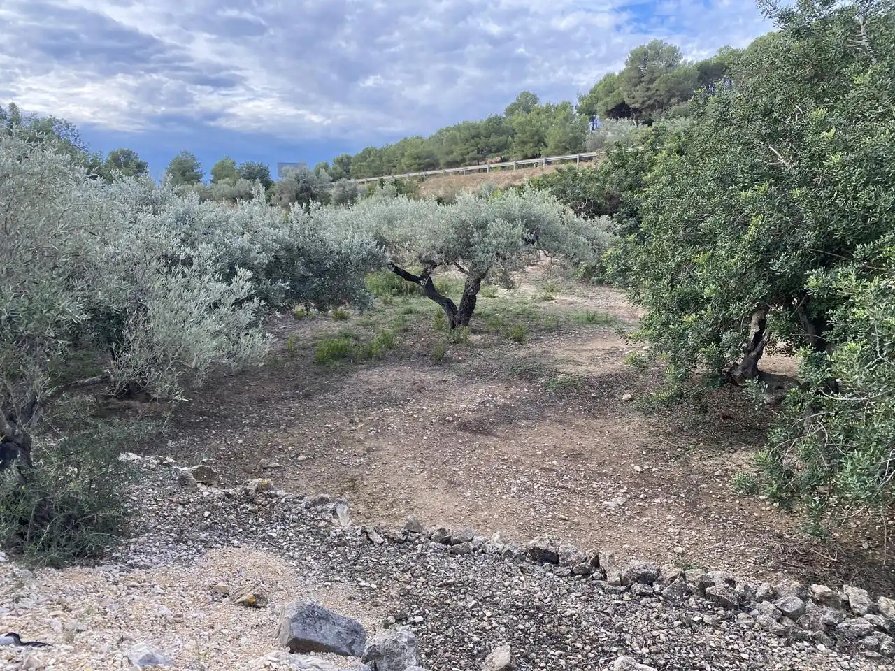 Terreno rustico in vendita a Partida Aguila, imagen 6