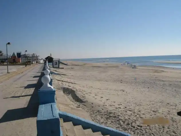 Gewerbefläche zum Verkauf in Paseo Marítimo Caño Guerrero