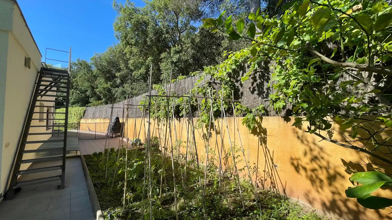 Jardí de Casa o xalet en venda en Palafrugell amb Jardí privat, Terrassa i Traster