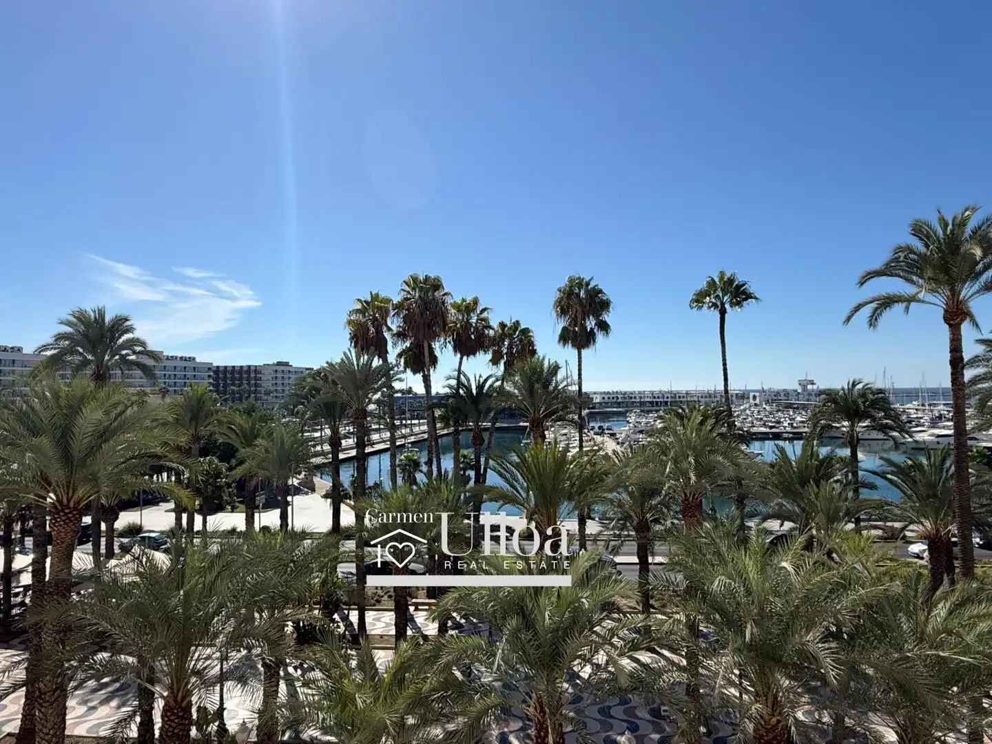 Flat with terrace for sale in Calle EXPLANADA DE ESPAÑA, imagen 42