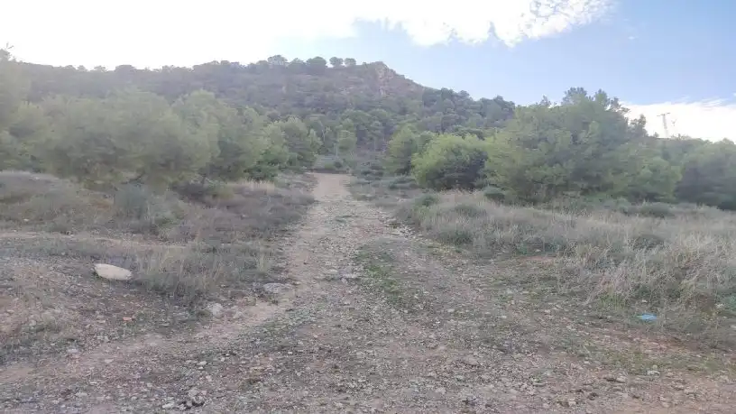 Terrenys i solars en venda a Pedanías Este, imagen 14