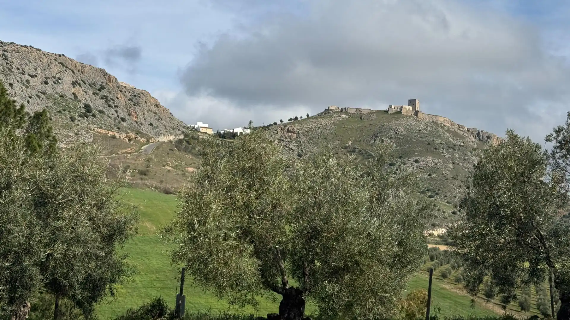 Vista exterior de Finca rústica en venta en Teba con Aire acondicionado, Jardín privado y Piscina