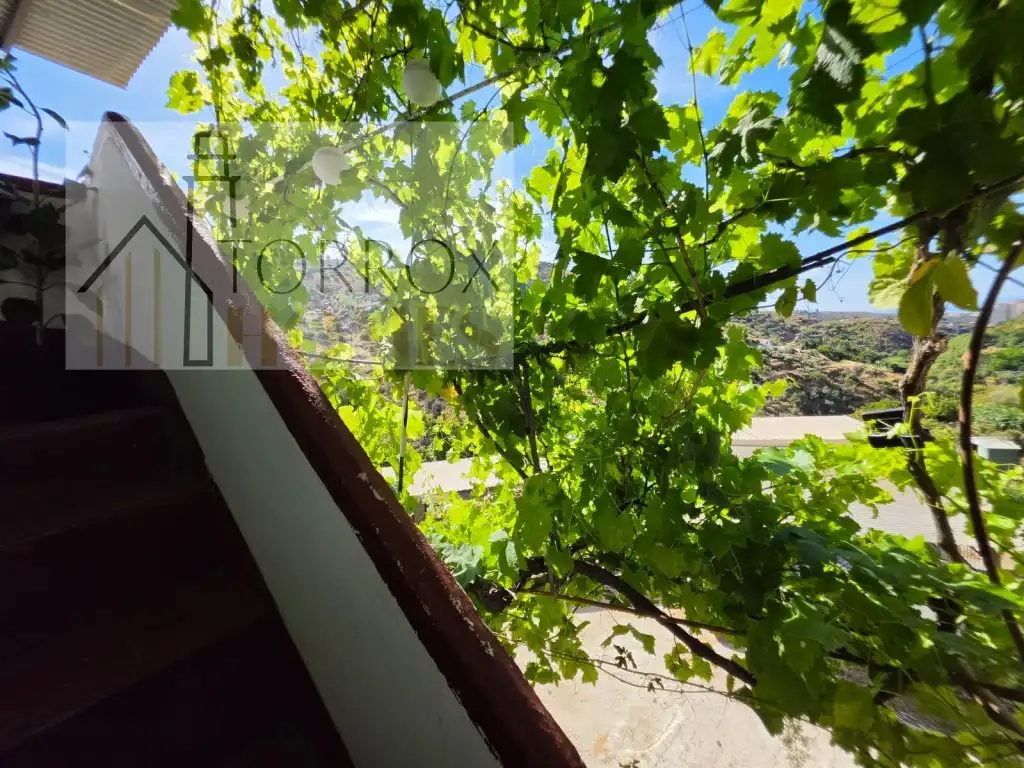 Vista exterior de Casa o xalet en venda en Torrox