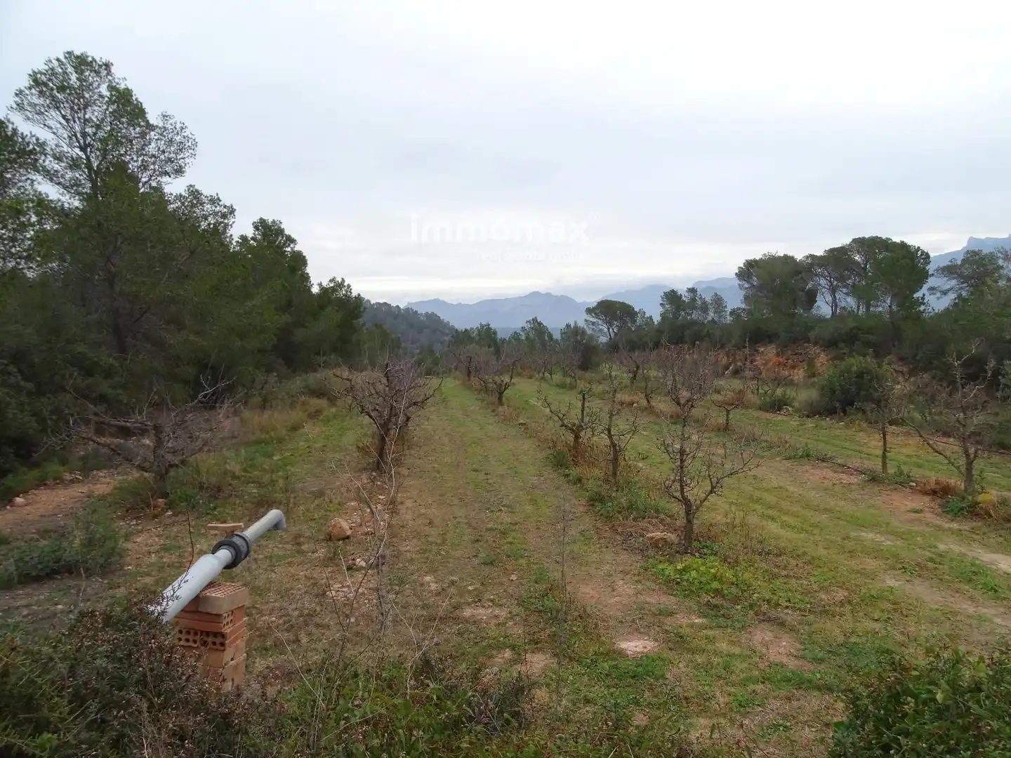 Residencial en venta en Benifallet