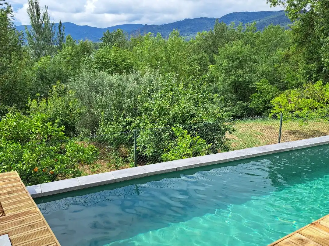 Casa con piscina en venta en Veinat Lio 1, imagen 2