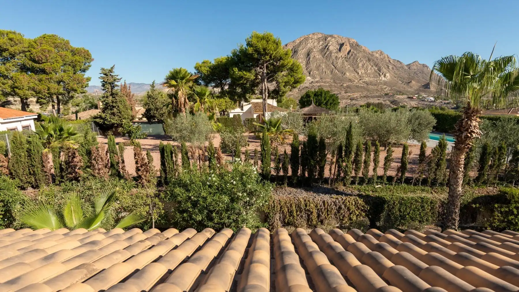 Vista exterior de Casa o chalet en venta en Alicante / Alacant con Aire acondicionado, Calefacción y Jardín privado