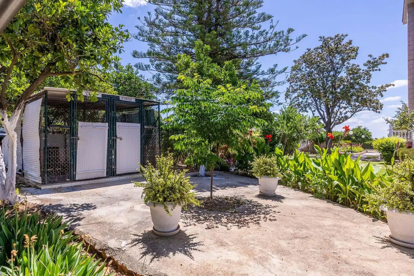 Jardí de Finca rústica en venda en Sanlúcar la Mayor amb Calefacció, Jardí privat i Terrassa
