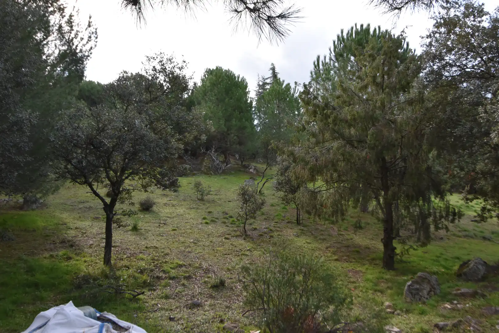 Wohnbaugrundstück zum Verkauf in Avenida Sajonia, imagen 7