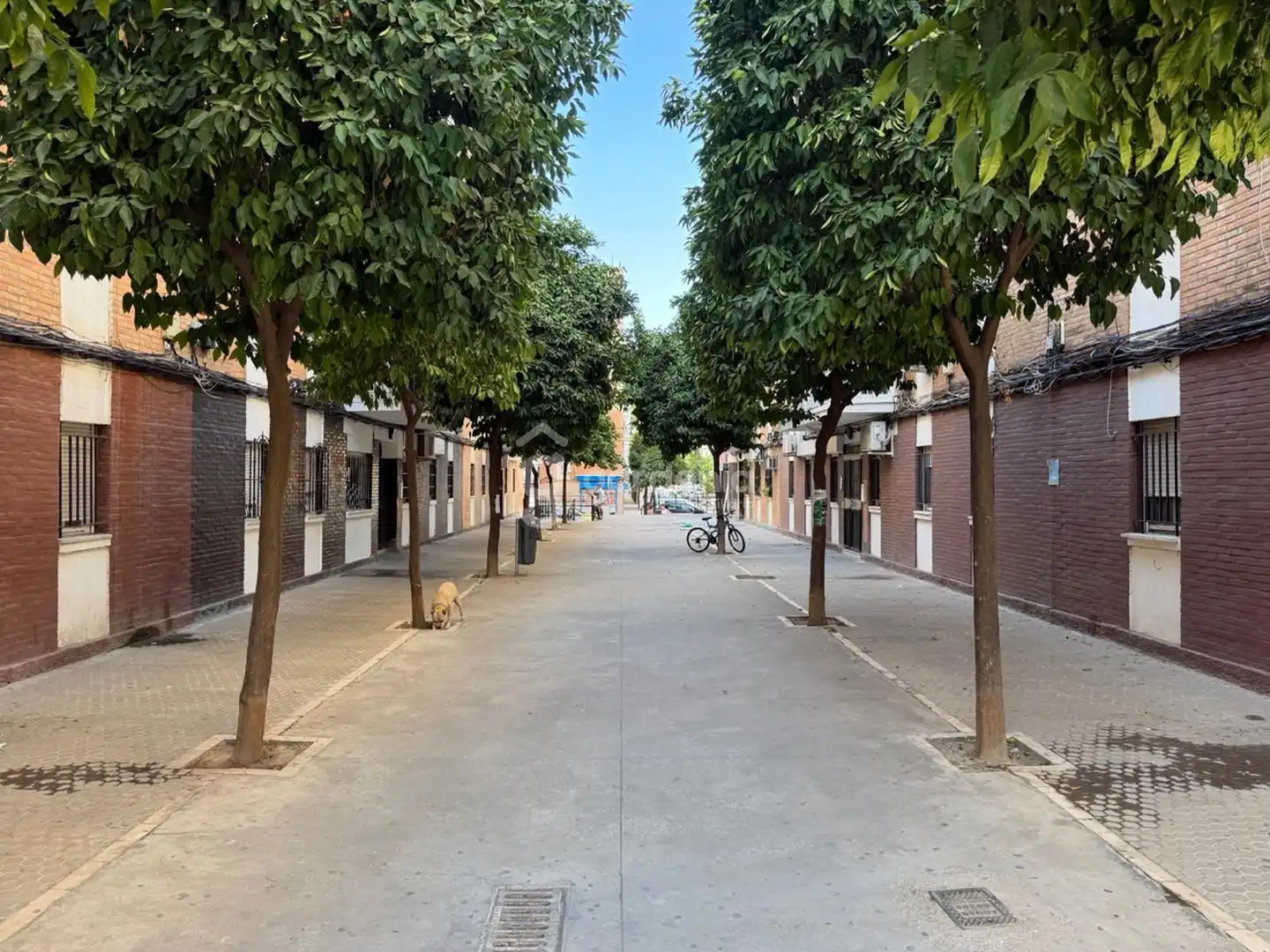 Vista exterior de Piso en venta en Sevilla con Terraza