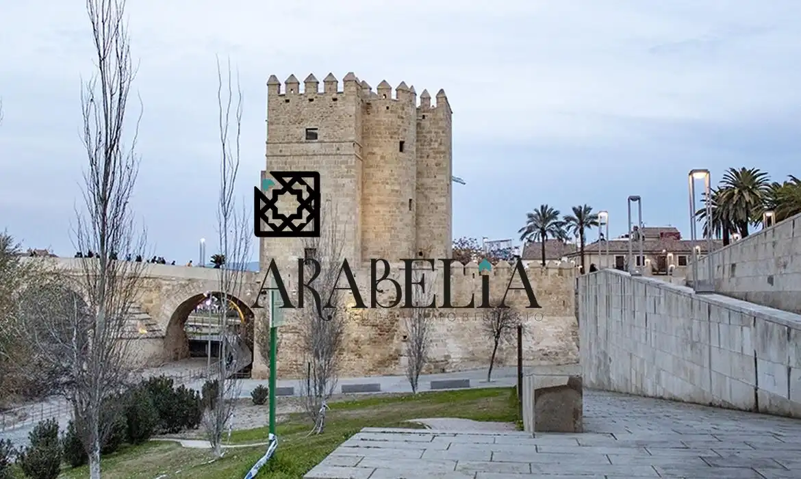Flat with lift for sale in Sur, imagen 2