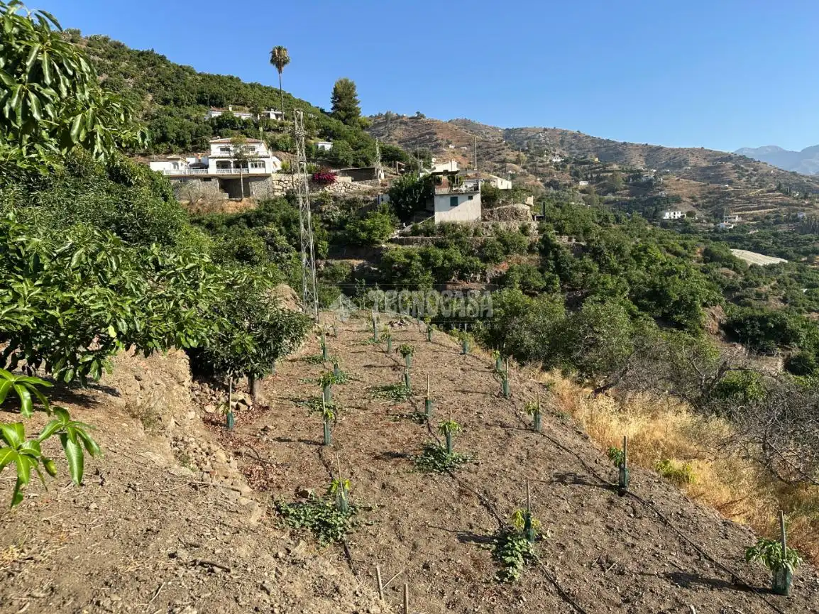 Terreni e lotti in vendita a Torrox Pueblo, imagen 4