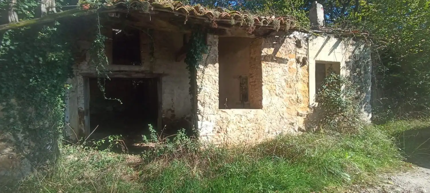 Vista exterior de Finca rústica en venta en Nava