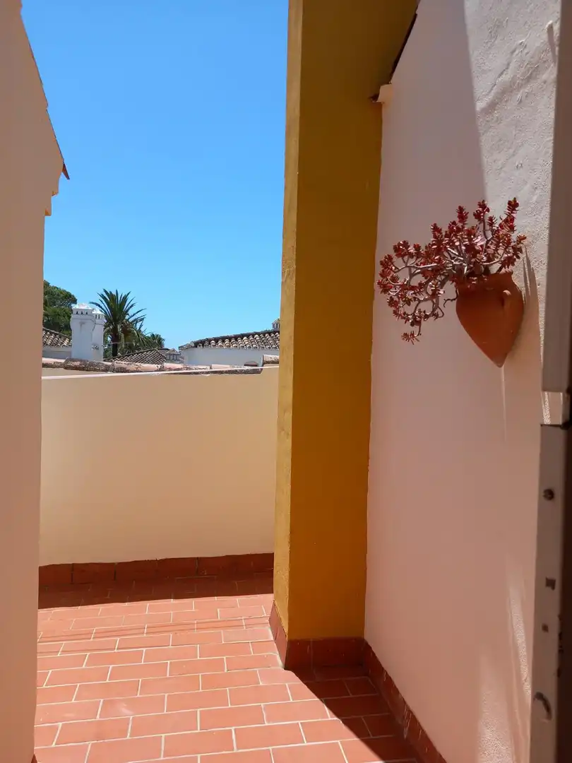 Reihenhaus mit Terrasse zum Verkauf in Punta Plata, imagen 2