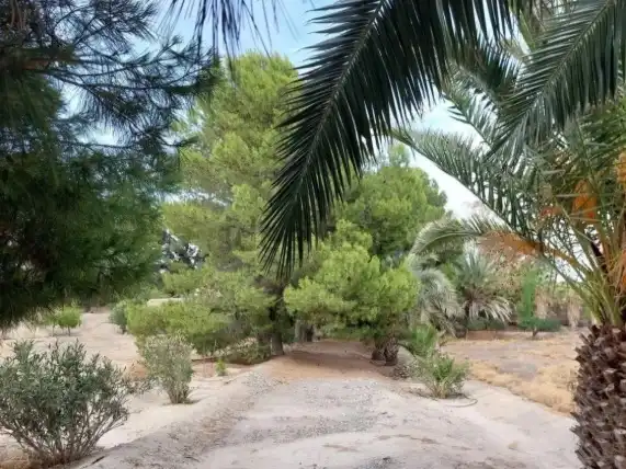 Finca rústica en venta en Partaloa, Almería