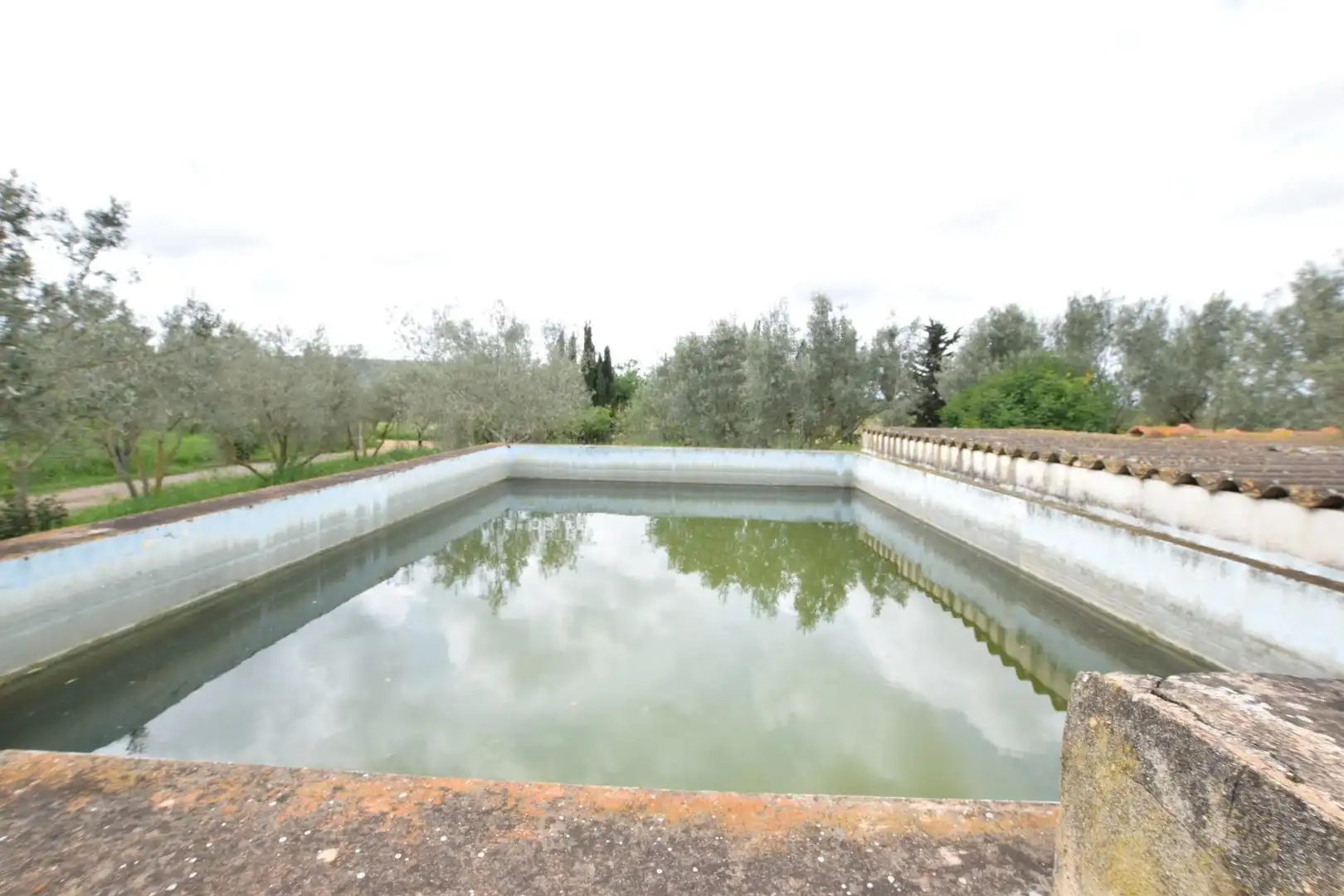 Piscina de Finca rústica en venta en Santa Eugènia con Jardín privado