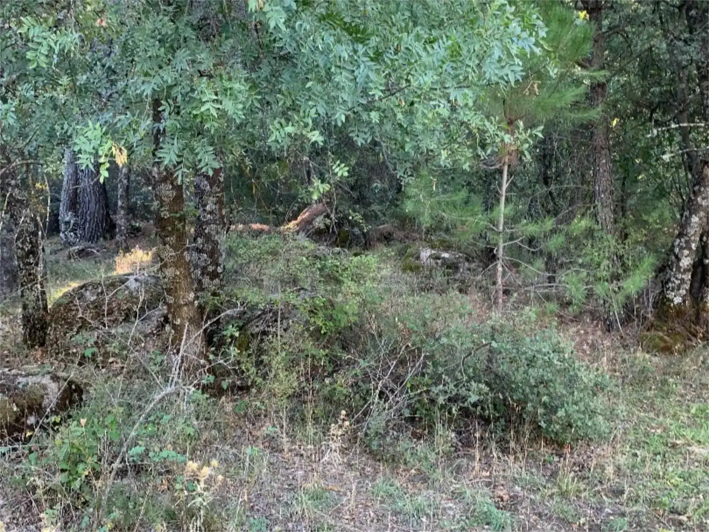 Finca rústica en venta en La Adrada 
