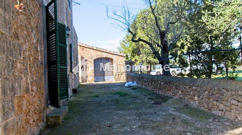 Foto 3 de Finca rústica en venta en Diseminado 8740- Sa Casa Blanca, 1, Puntiró, Palma de Mallorca