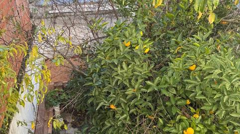 Foto 2 de Casa o xalet en venda a Nuevo Cáceres, Cáceres