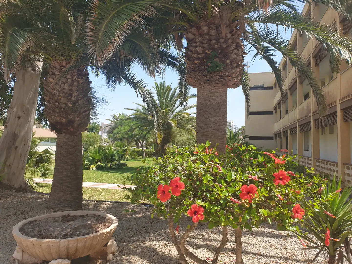 Vista exterior de Àtic en venda en Roquetas de Mar amb Terrassa, Moblat i Piscina comunitària