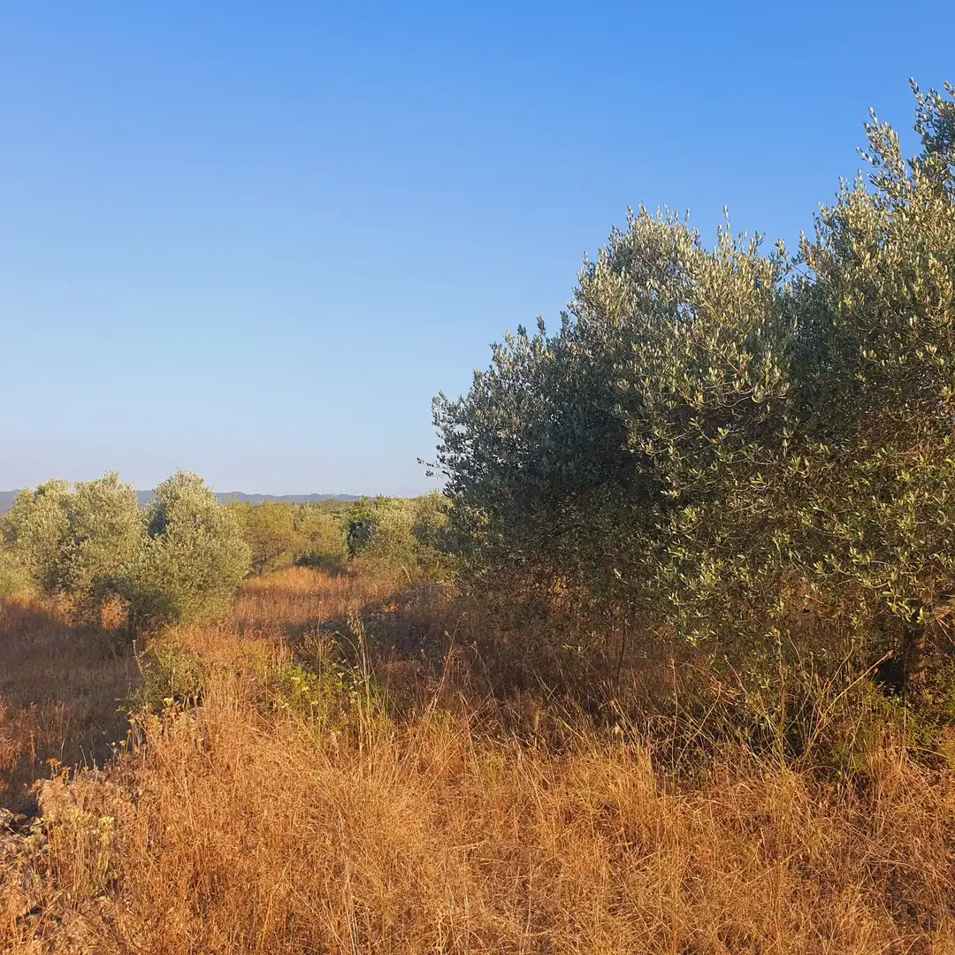 House for sale in Rasquera, imagen 8