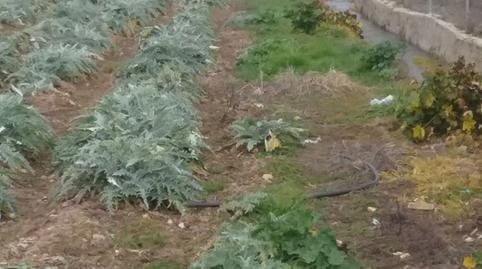 Photo 5 of Land for sale in Lancha del Genil,  Granada Capital