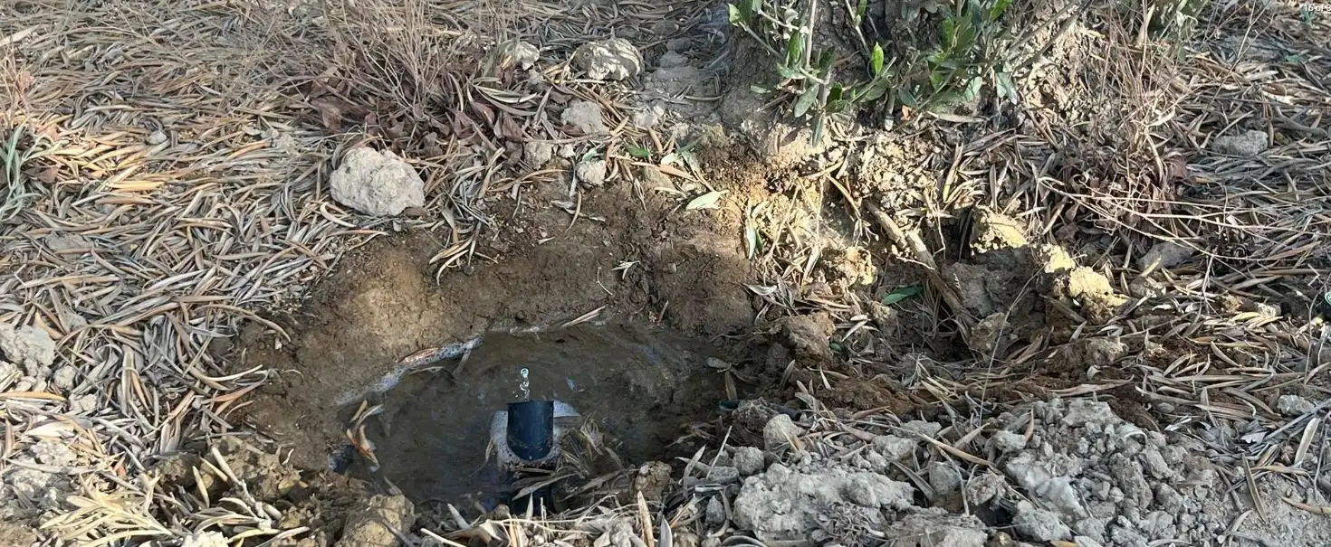 Finca rústica en venta en La Malahá
