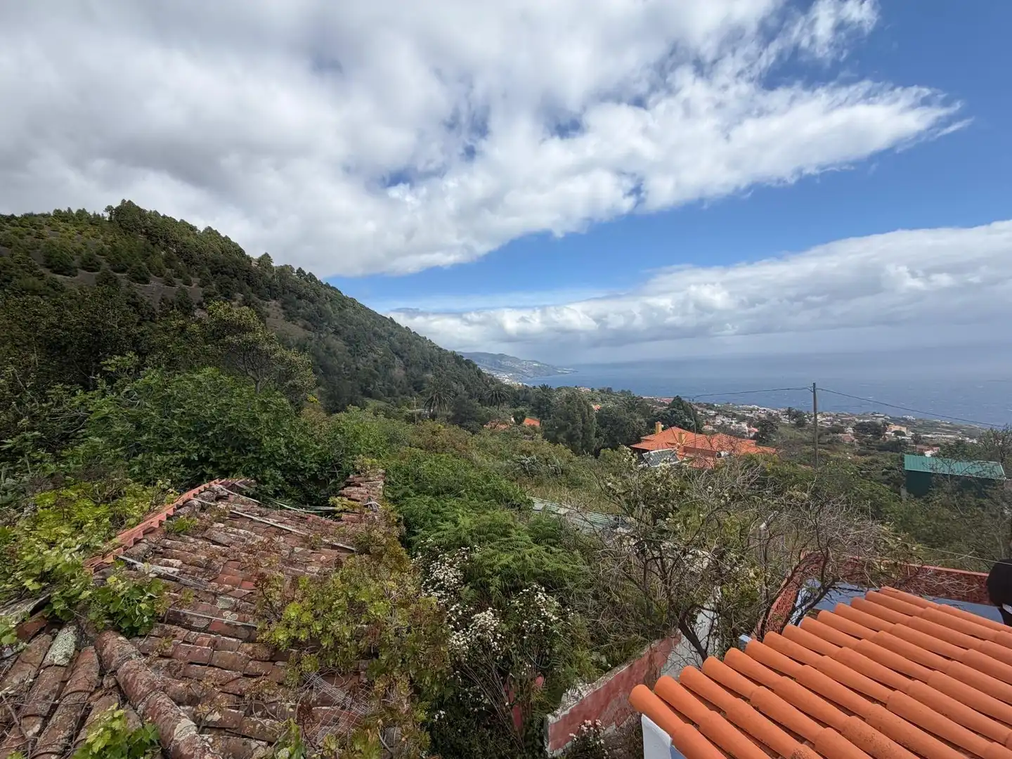 Vista exterior de Casa o chalet en venta en Villa de Mazo con Jardín privado, Terraza y Piscina