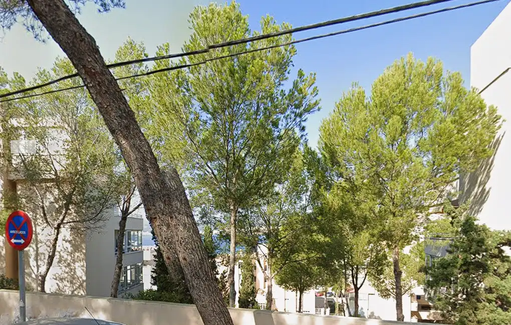 Business premises for sale in Llevant, imagen 4