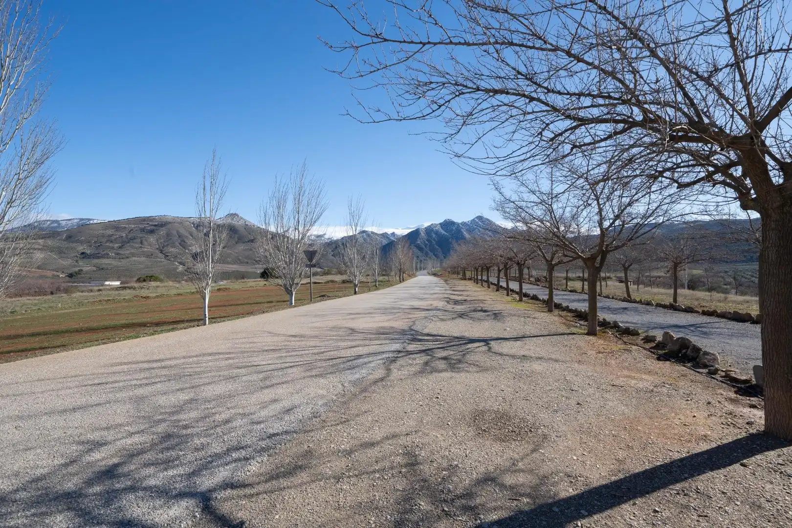 Vista exterior de Casa o xalet en venda en Dílar amb Jardí privat