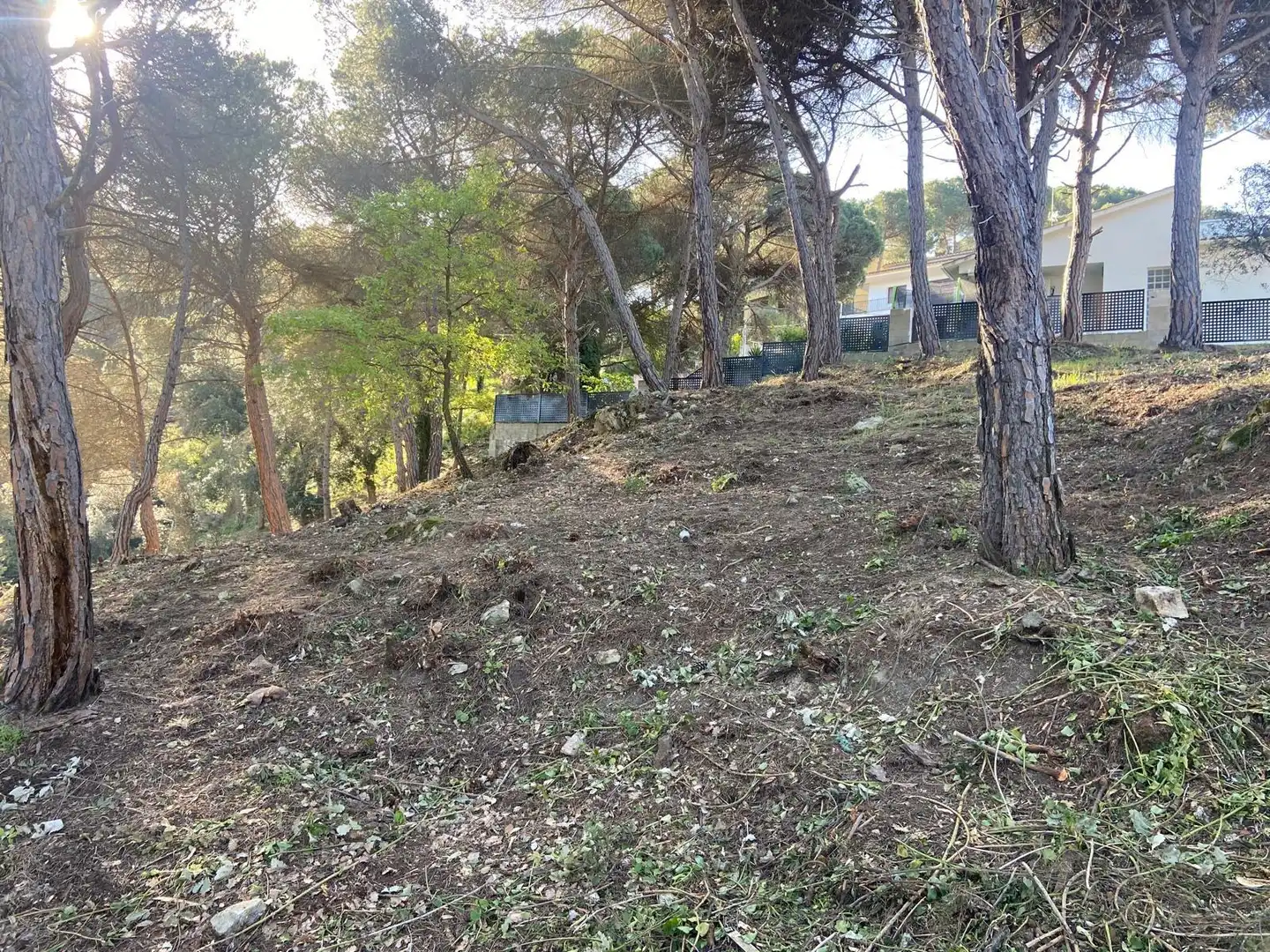 Terreno residencial en venta en Vilanova del Vallès, imagen 8