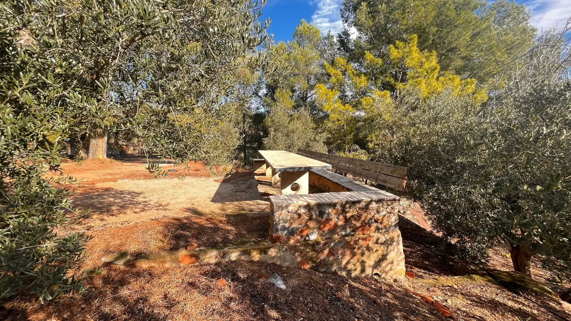 Terreno rustico in vendita a Carrer de Sant Abdó i Sant Senén, imagen 17
